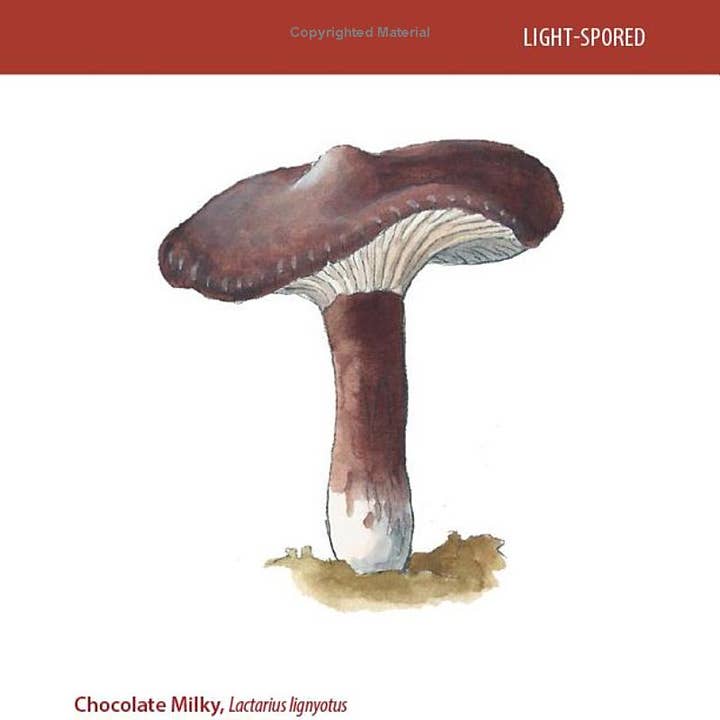 REMOVED BRAND - Wholesale Nature & Outdoors - Mushrooms: A Falcon Field Guide4
