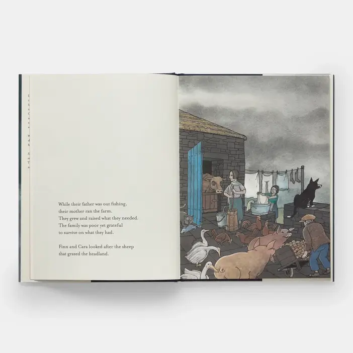 Phaidon - Wholesale Early Reader Book (6-8) - Fog Island2