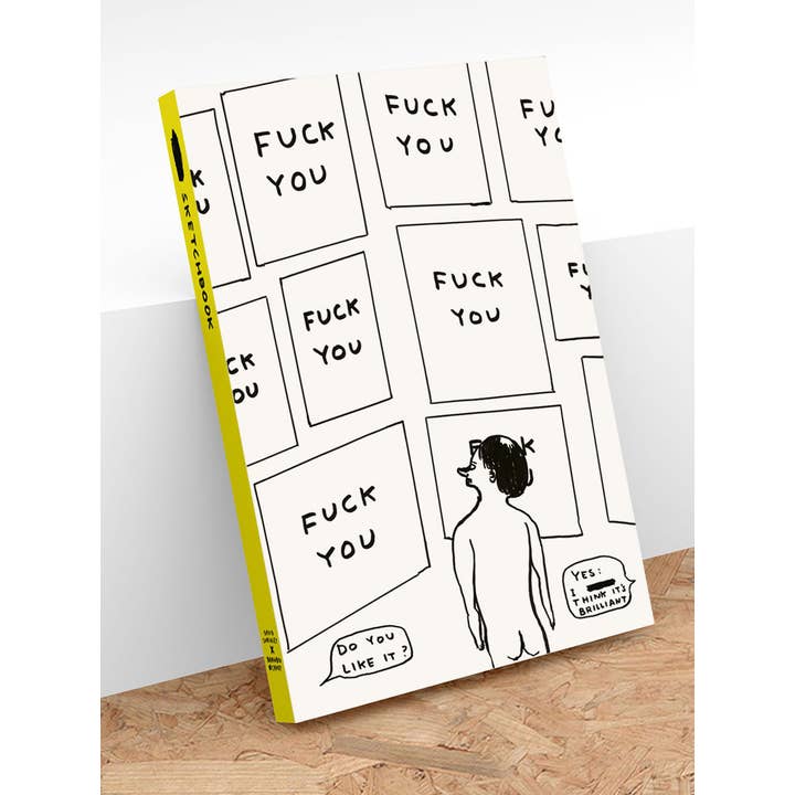 Funny Gift - Do You Like It? Sketchbook by David Shrigley for wholesale by David Shrigley x Brainbox Candy