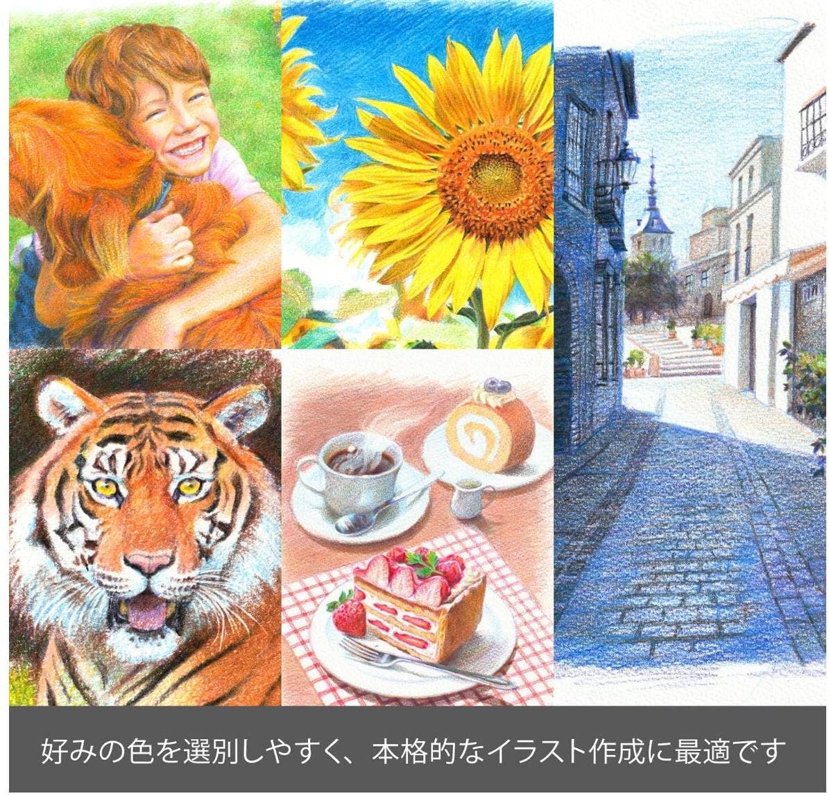 「FUNJI」In Japan - Wholesale Pencil - Pentel Art Multi 8 Japanese Mechanical Pencil Set2