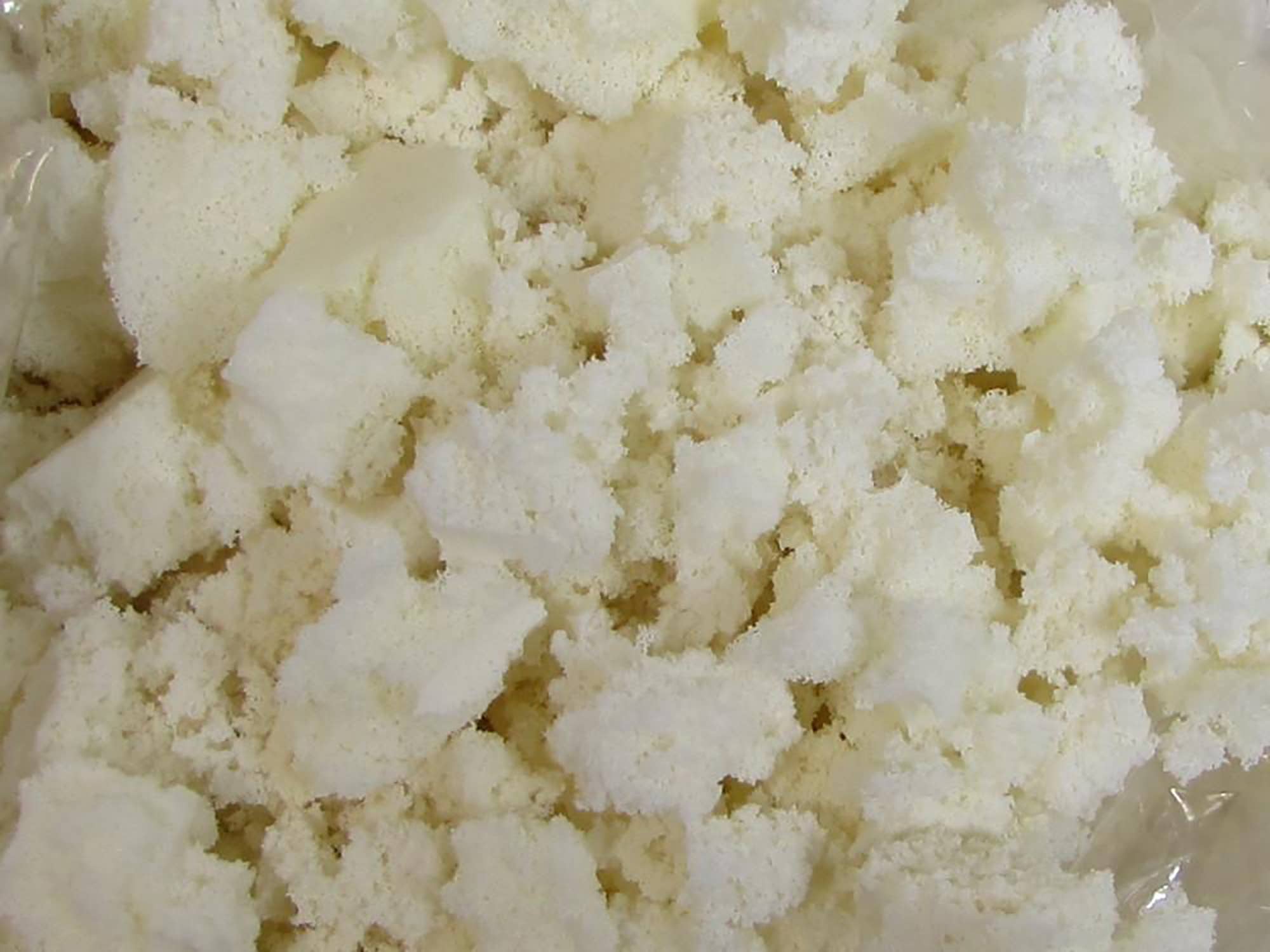 Healthy Body Head To Toe - Wholesale Pillow Insert - Organic and Natural Fibers3