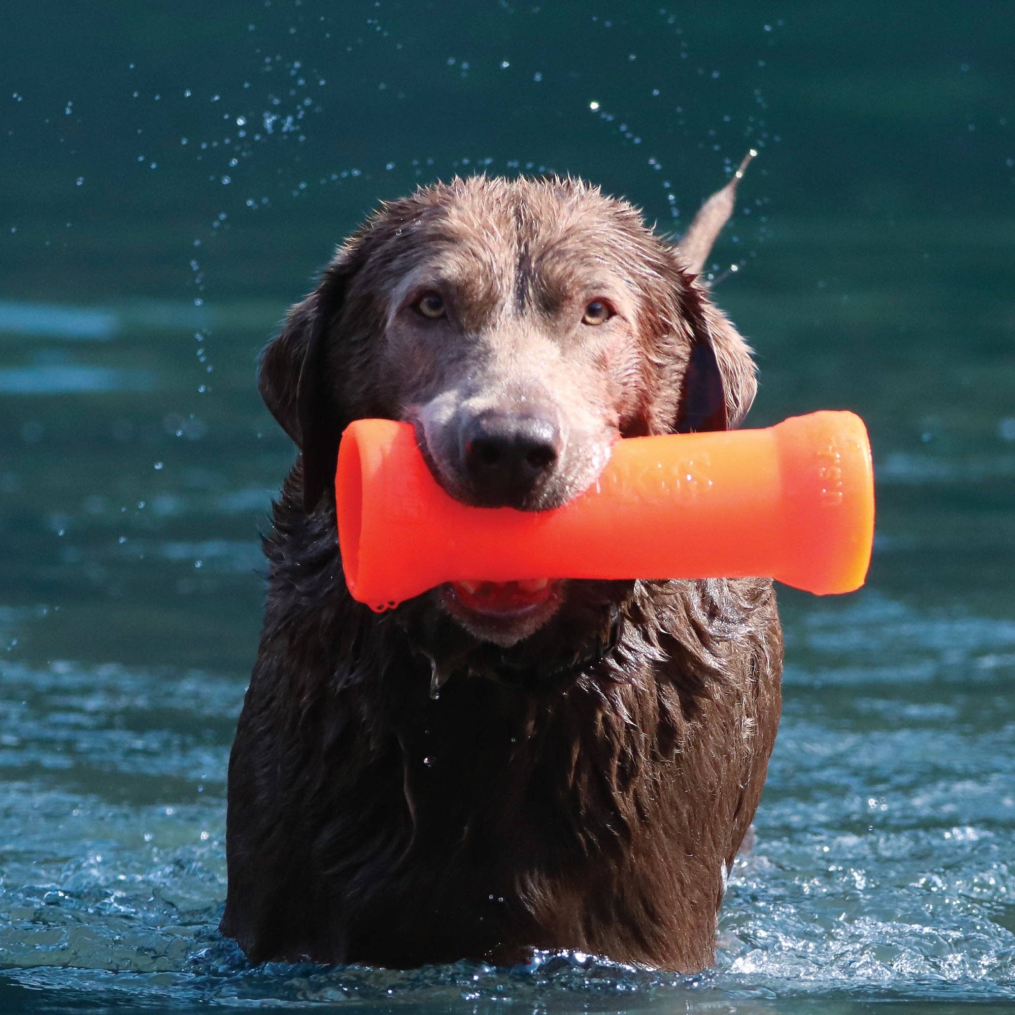 RuffDawg - Wholesale Pet Chew Toy - Dog - CRINKIT XL water bottle toy1