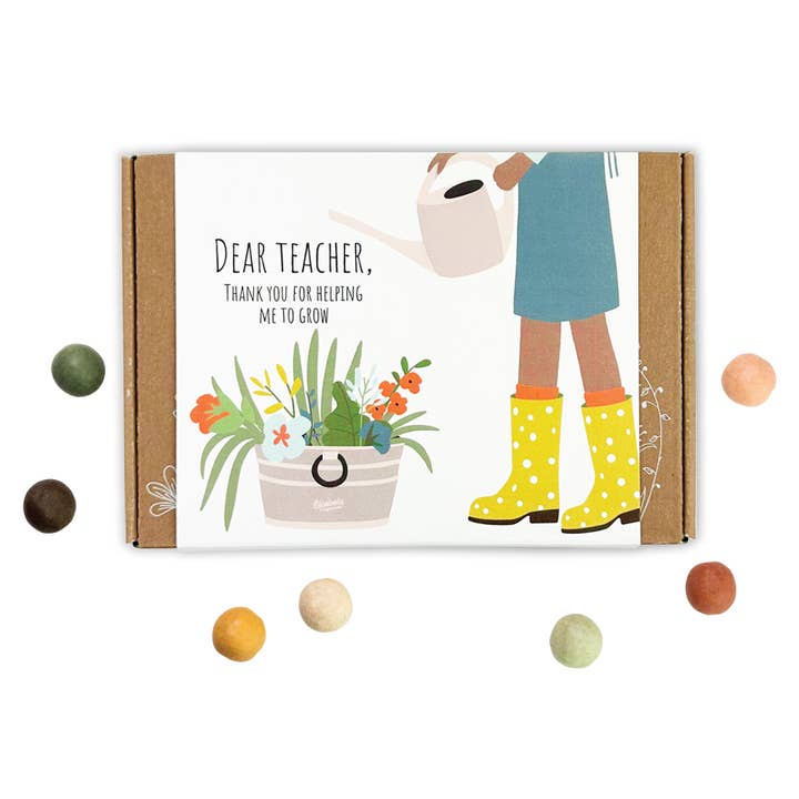 Buzzy, Inc. - Wholesale Plant Seeds - Blossombs Small Box - Dear Teacher- 7 Seed Bomb Balls