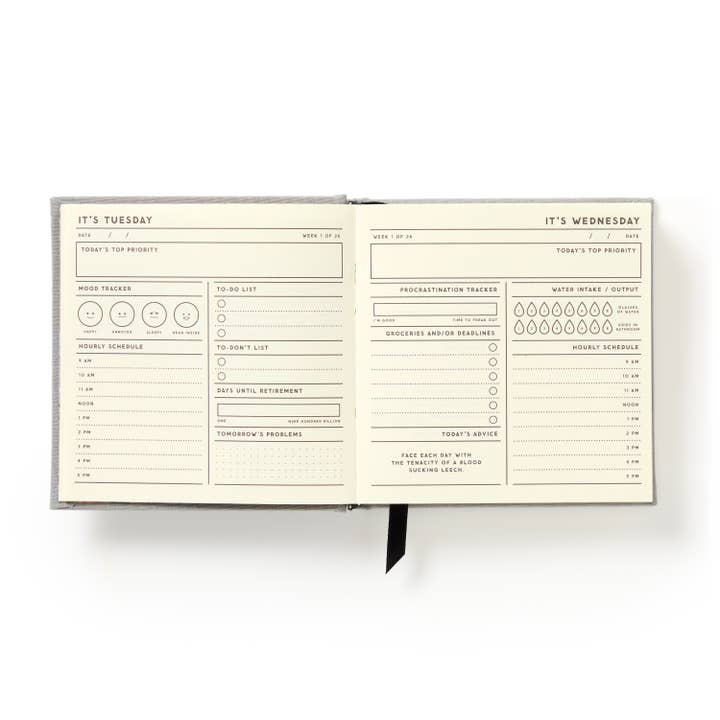 Chronicle Books - Wholesale Journal/Diary - Brass Monkey My Master Plan Productivity Guide