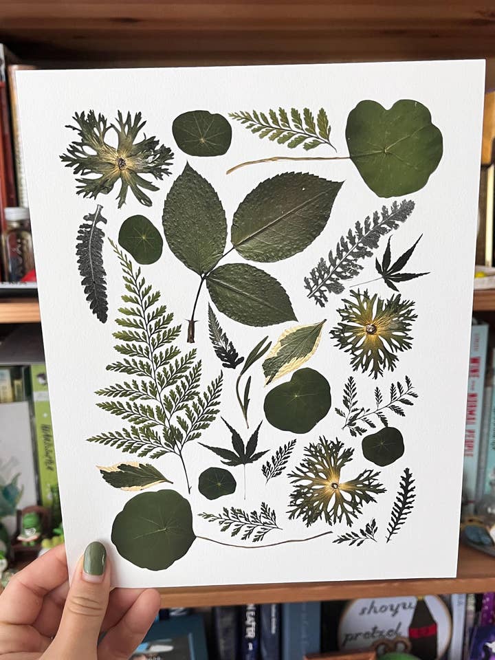 Green Pressed Botanical Giclée Art Print: Fern, Yarrow, Rose for wholesale by Owlhaired Designs