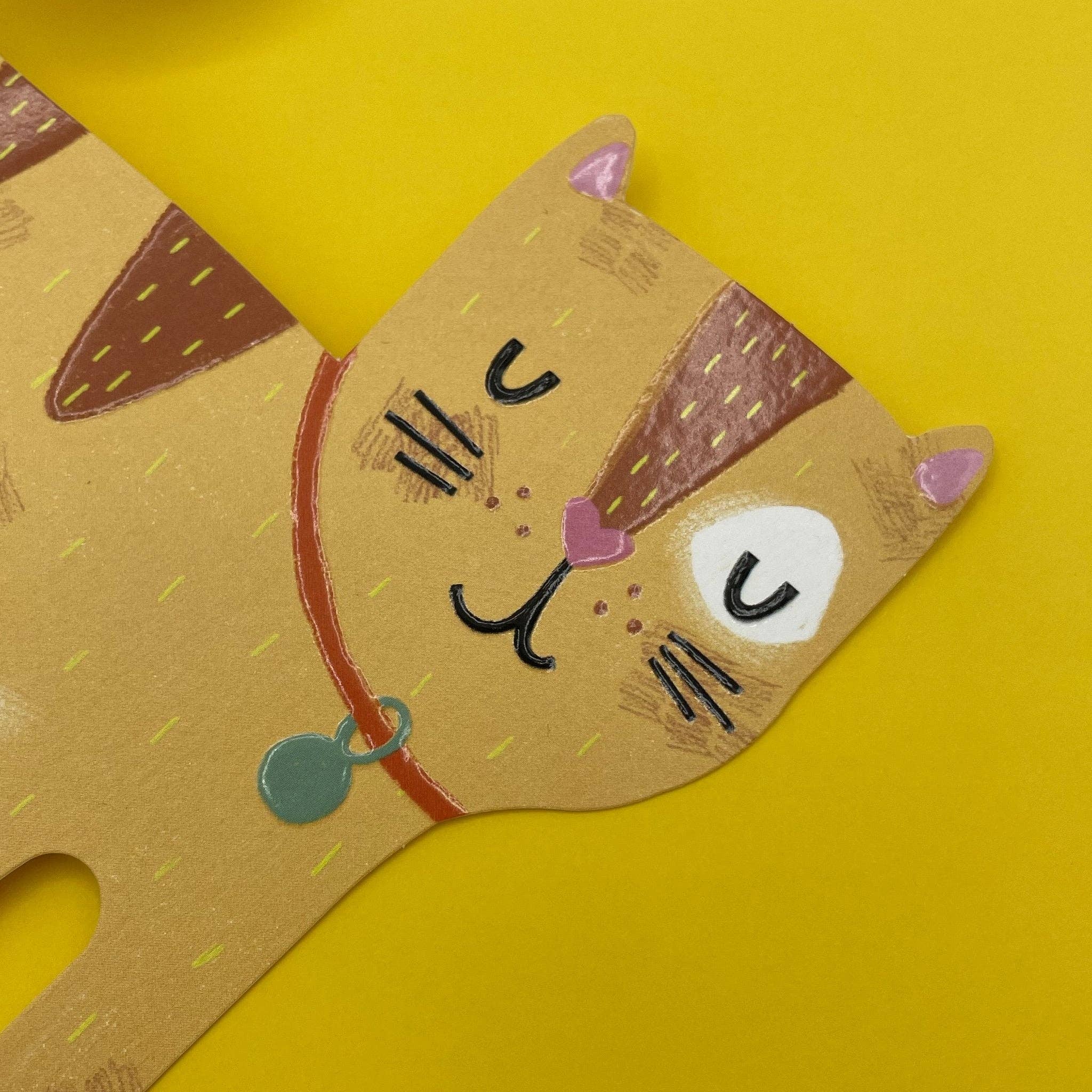 Raspberry Blossom – wholesale Vardagliga hälsningskort – Ingefärskatt (PAW07)2