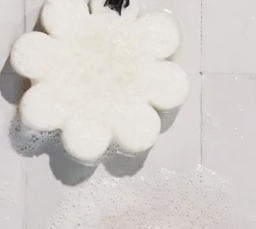 Best Beauty Group - Wholesale Bath Pouf/Sponge - Body Wash Infused Spa Sponge Buffer Exfoliate Soap Cleanser6