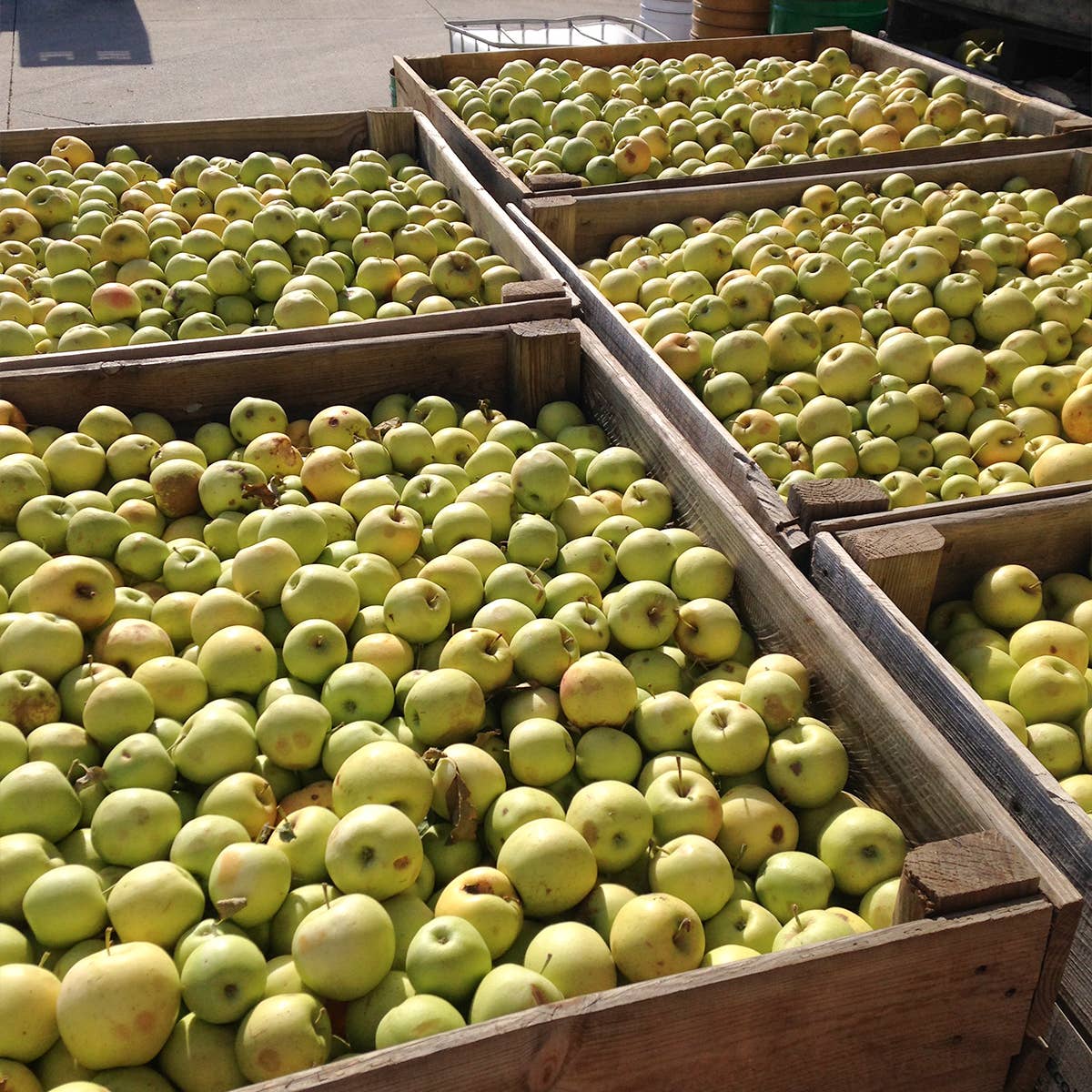 ekolo - Wholesale Fruit Juice - Organic Apple Juice, 100% Squeezed, 6 pcs x 750ml7