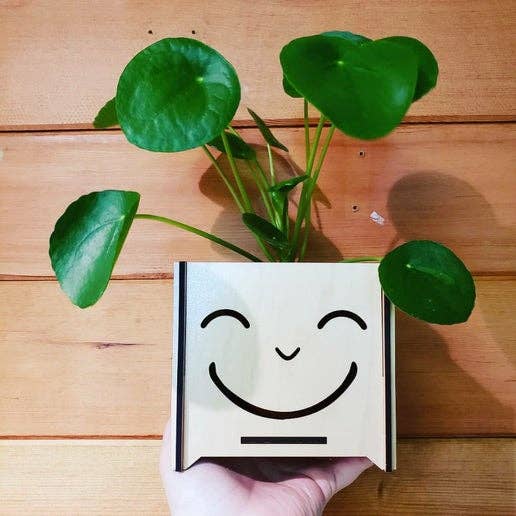 Joyous face Wooden Planter Box for wholesale by Catchpenny