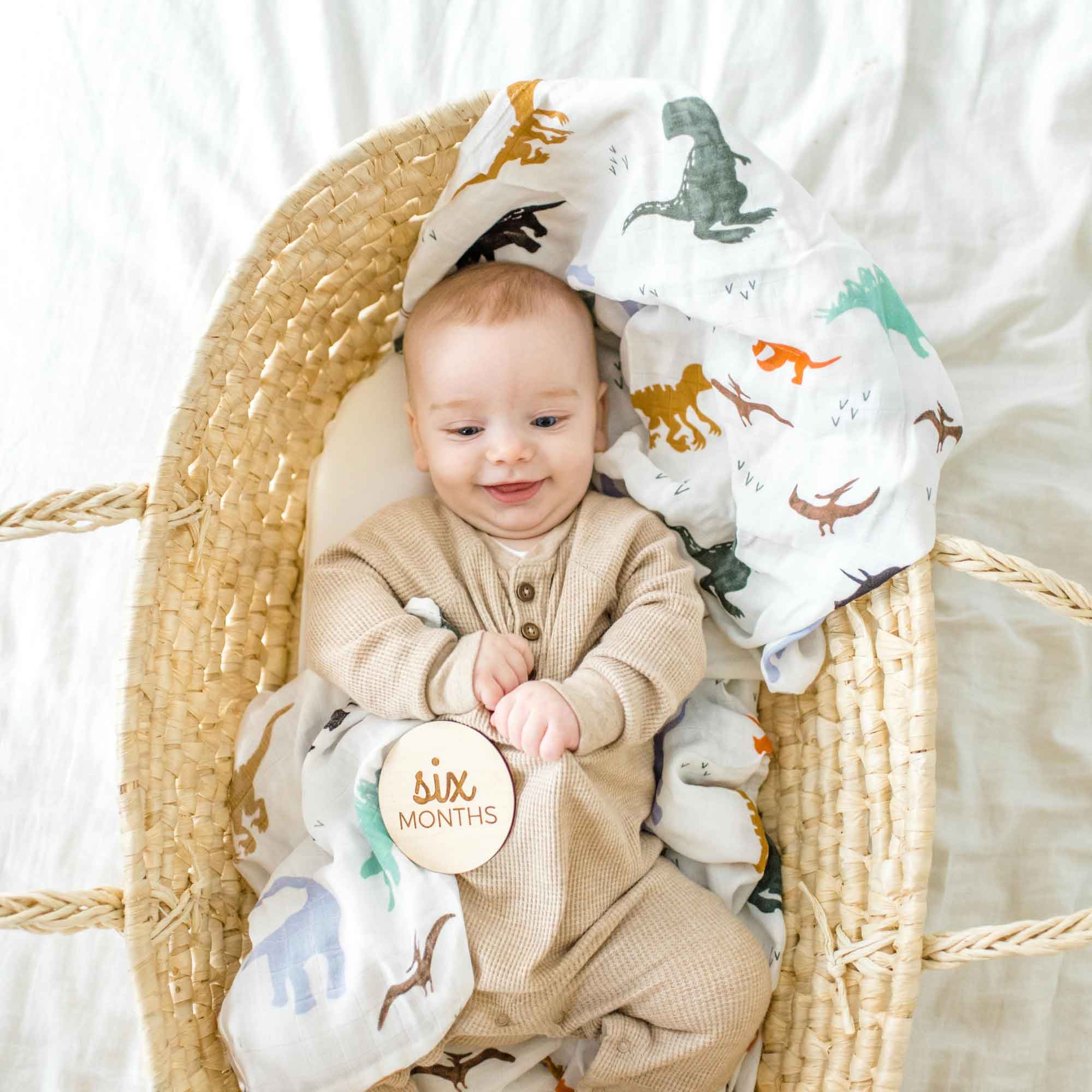 Dolly Lana - Wholesale Swaddle - Baby - Cotton Muslin Swaddle - Dinosaur3
