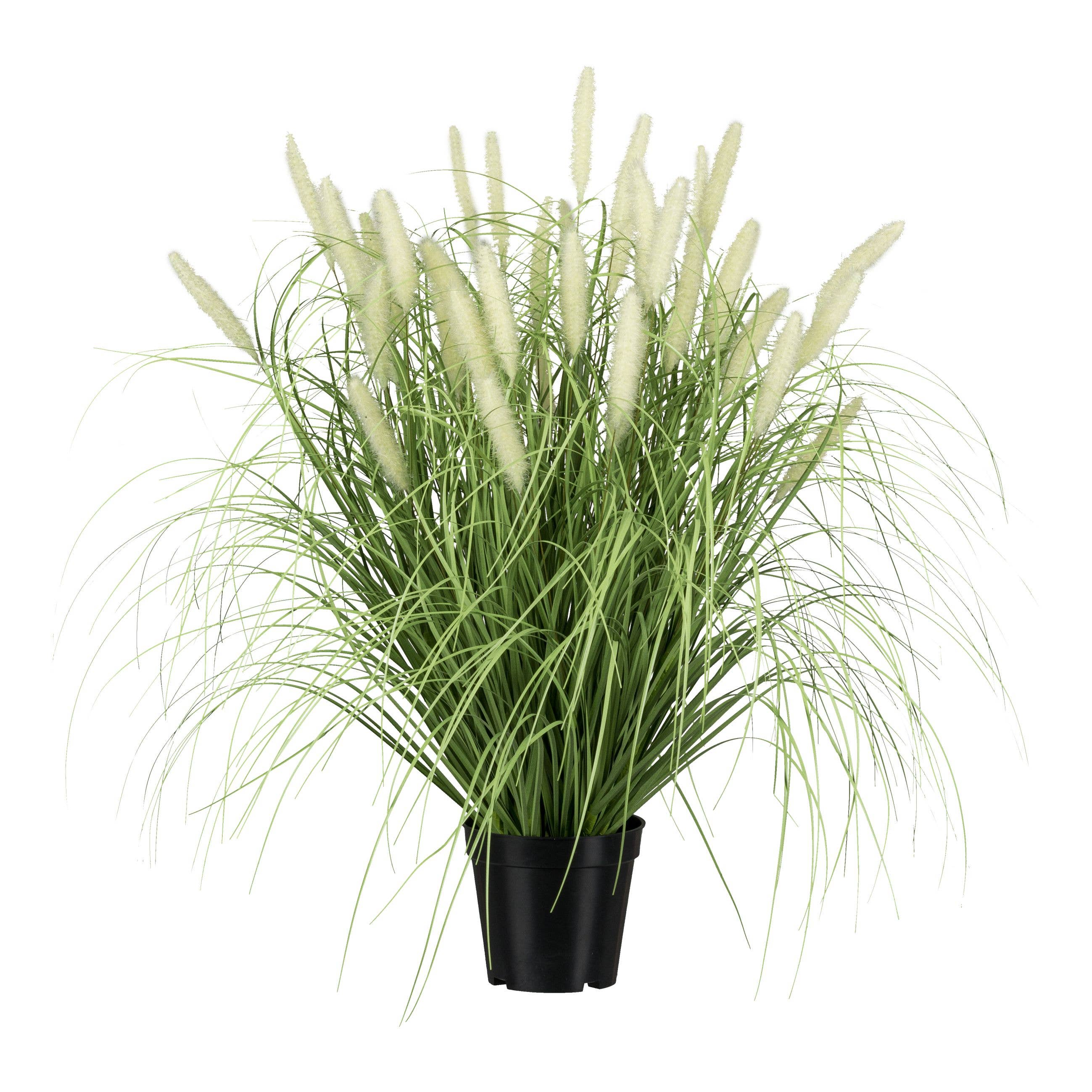GASPER GmbH - Vendita all'ingrosso Piante artificiali - Pennisetum in vaso, 65 cm0