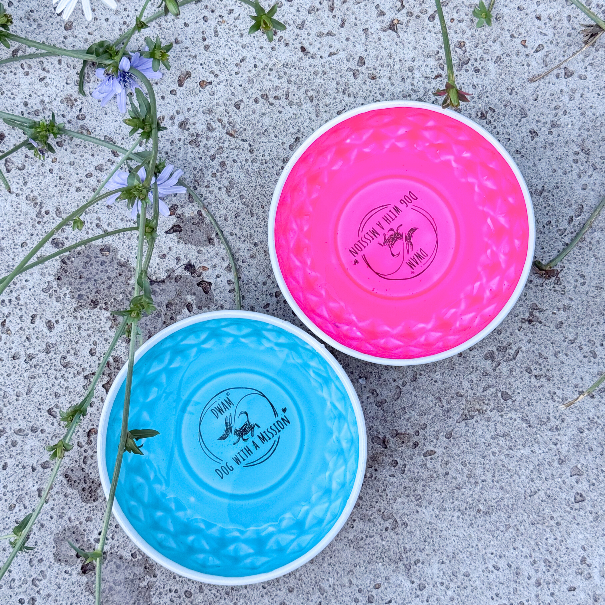 Green Watermelon Food & Water Bowl S (16 cm x 7 cm) for wholesale on Faire8