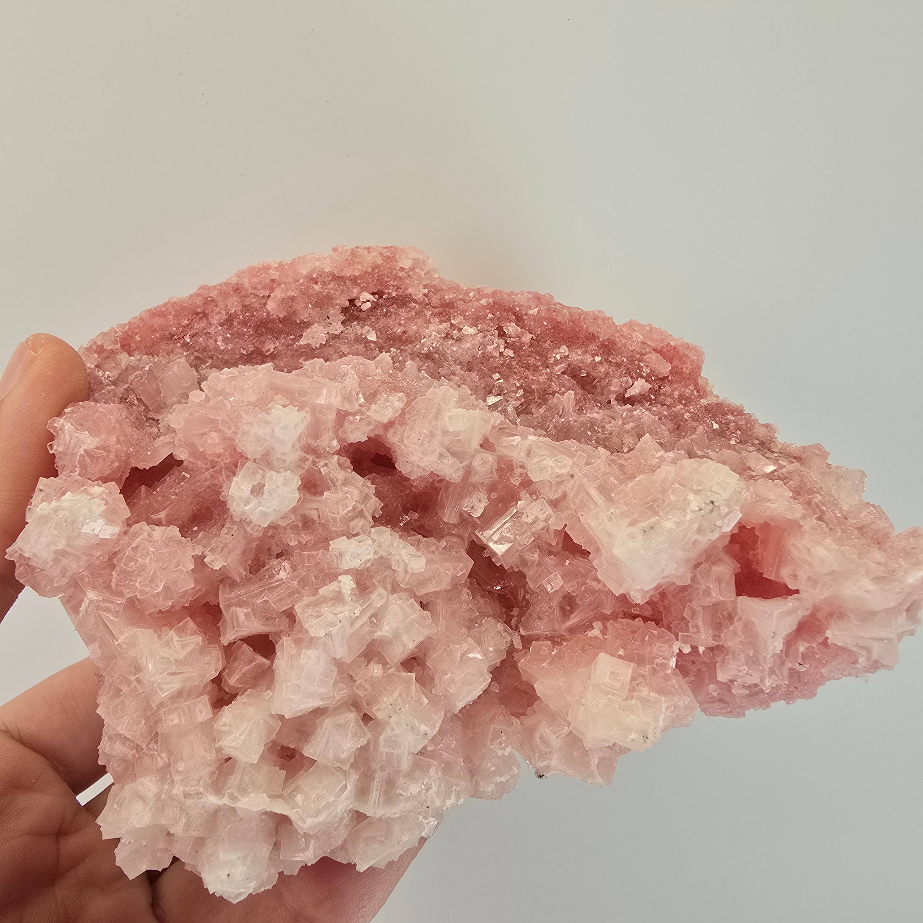 Aquamarine Daydream Wholesale - Wholesale Spiritual Stone/Crystal - 6pc Pink Halite ~ Bulk Mineral Flats ~ Crystal Specimens #139