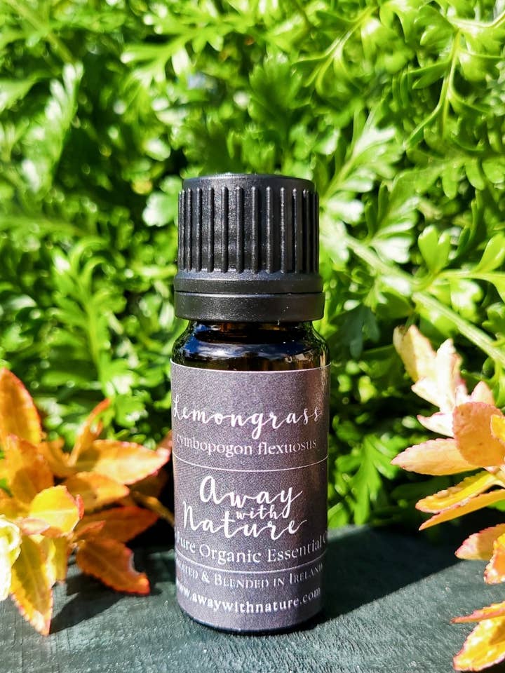 Essentials - Citrongræs for engroshandel hos Away with Nature