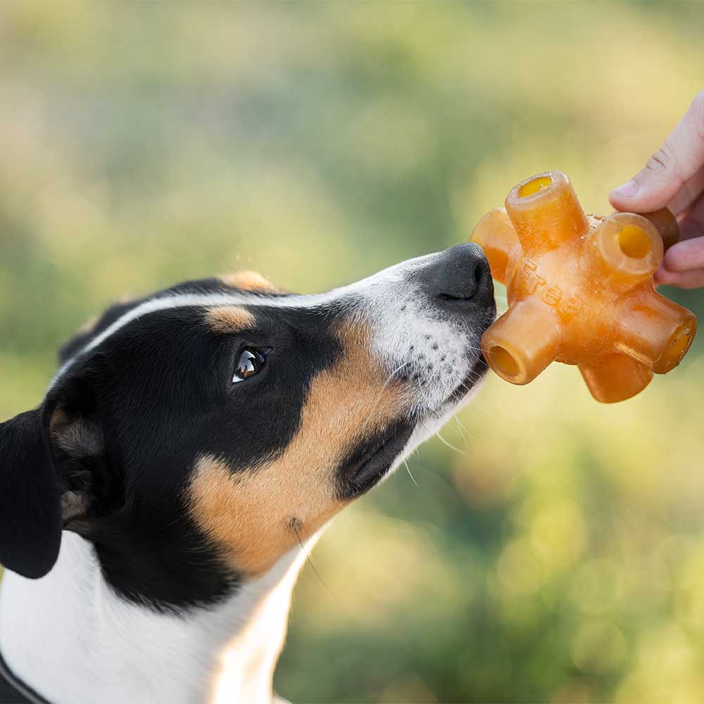 POCURULL SL (Retorn) - Wholesale Kauwspeeltje voor honden - Hond - Rub Free Jump speeltje voor honden6