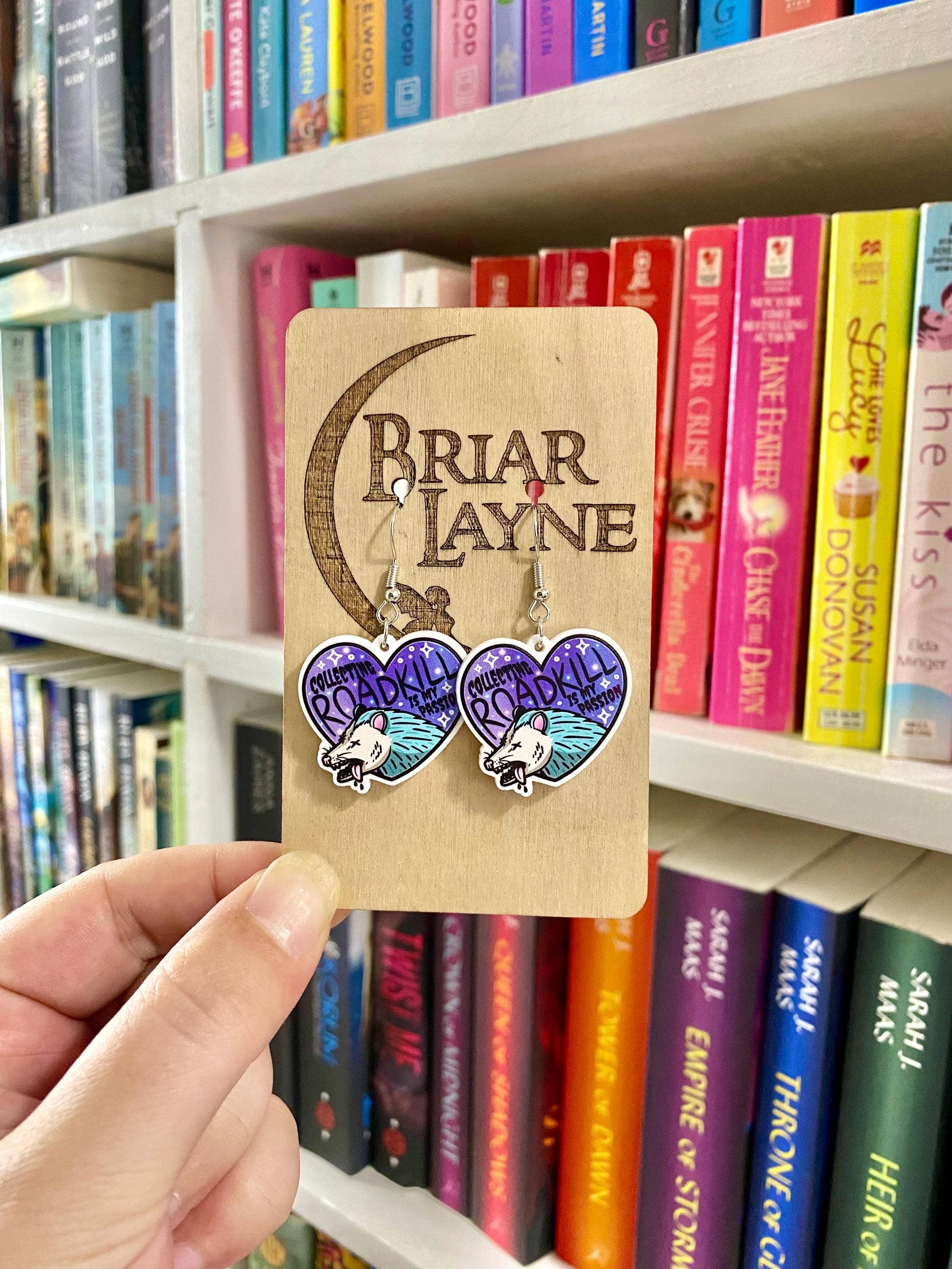 Briar layne - Wholesale Dangle Earrings - Possum Trash Panda Lover Jewelry Earrings6