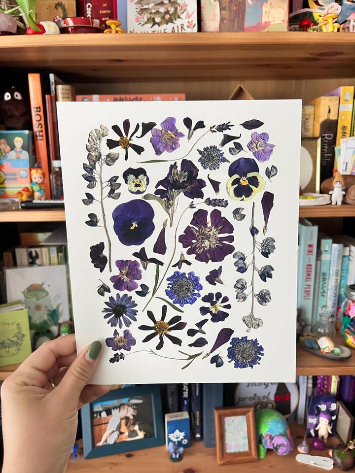 Pressed Flower Giclée Print: Pansy, Zinnia, Lupine, Lavender for wholesale by Owlhaired Designs