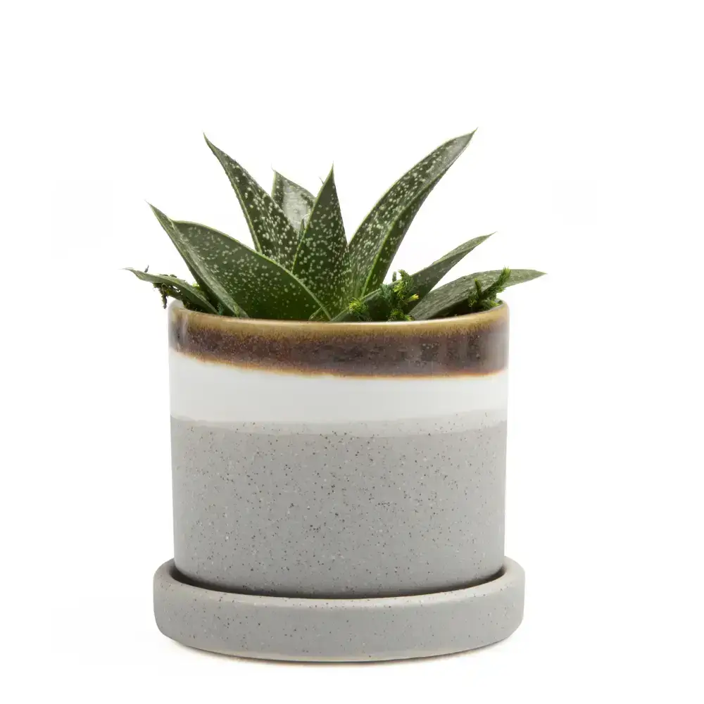 Chive UK - Wholesale Plant Pot - Minute  Handmade Ceramic Planter Indoors Pot With Saucer34