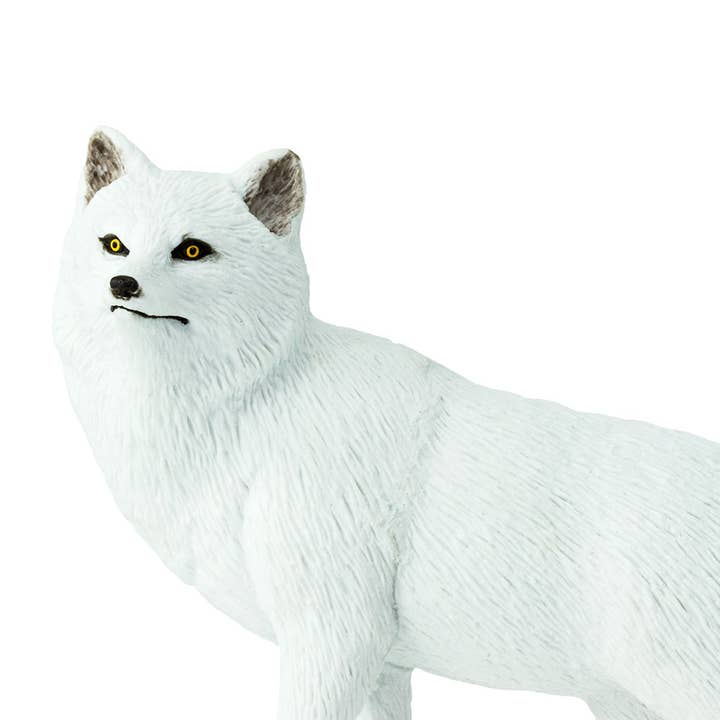 Safari Ltd. - Wholesale Figurine Toy - Kids - Arctic Fox Figurine Toy for Kids