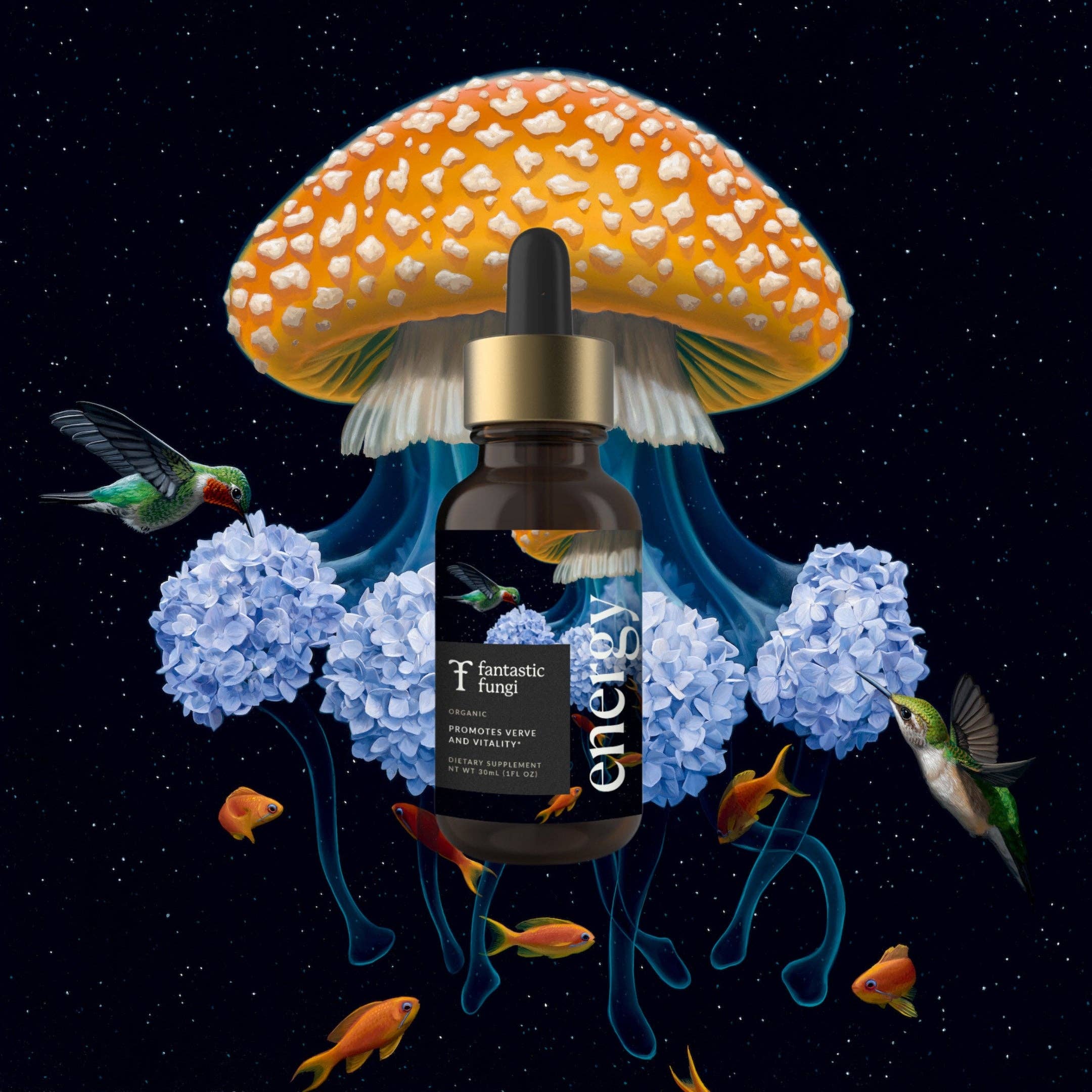 Fantastic Fungi - Wholesale Elixir - Energy Elixir1