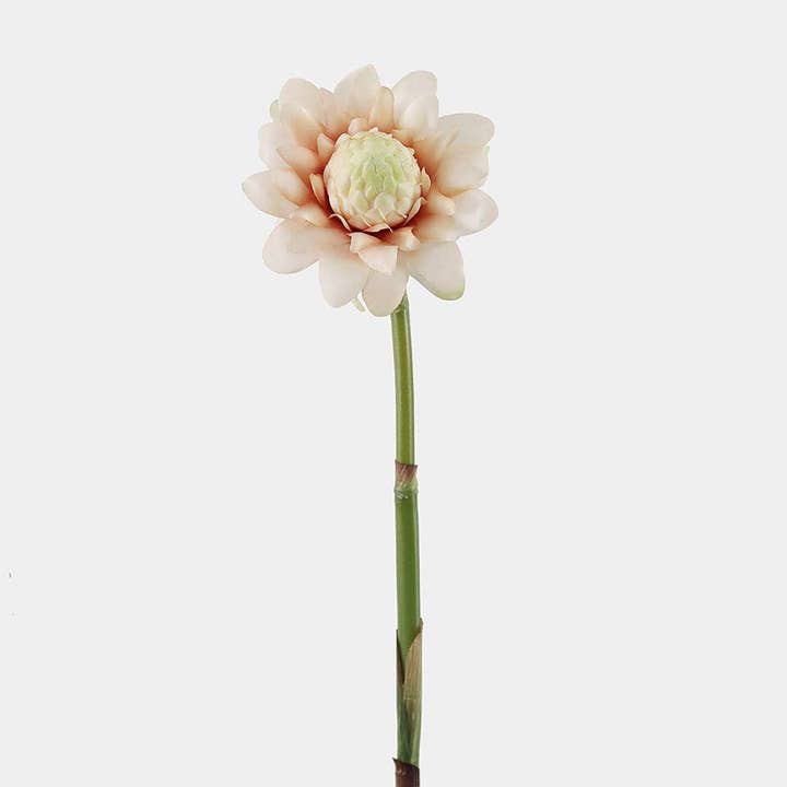 Blush Waratah Protea Bloom 31" and other Purchase Wholesale artificial tropical flowers. Free Returns & Net 60 Terms on Faire trending on Faire.