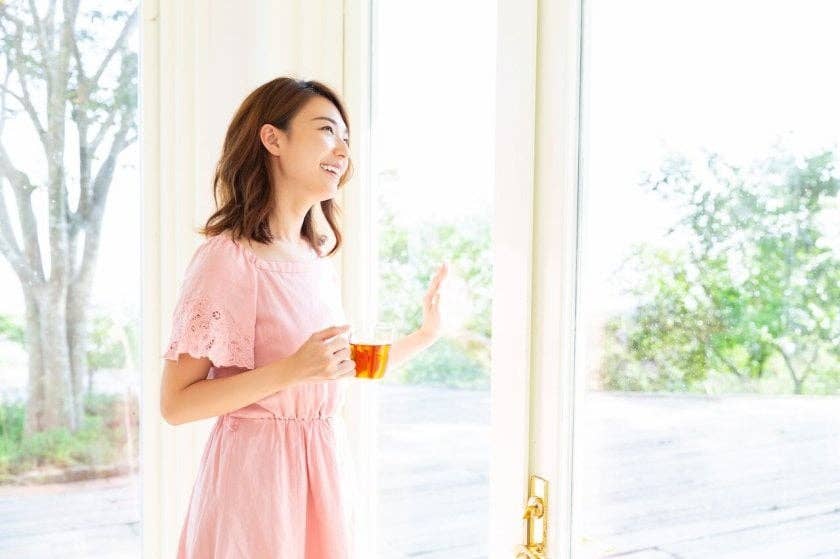 Japan Artisans - Vente Sachets de thé - THÉ DE FEUILLES DE PAPAYE 7 sachets | Fabriqué au Japon14