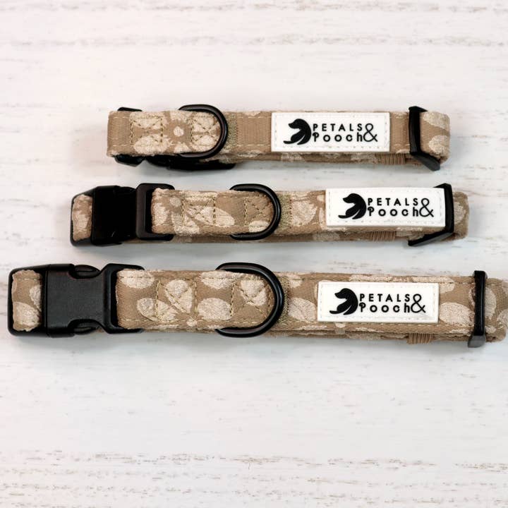 Café au Lait Bouquet Collar for wholesale by Petals & Pooch