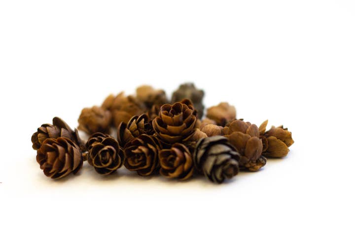 Winter Woods - Wholesale Decorative Tabletop Object - Tamarack Pine Cones by the Pound0