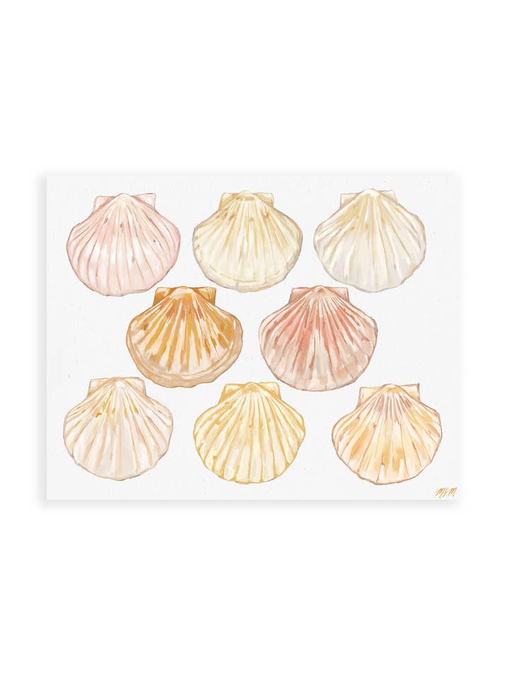 SEASHELL SERIES for wholesale by MFMDESIGNS