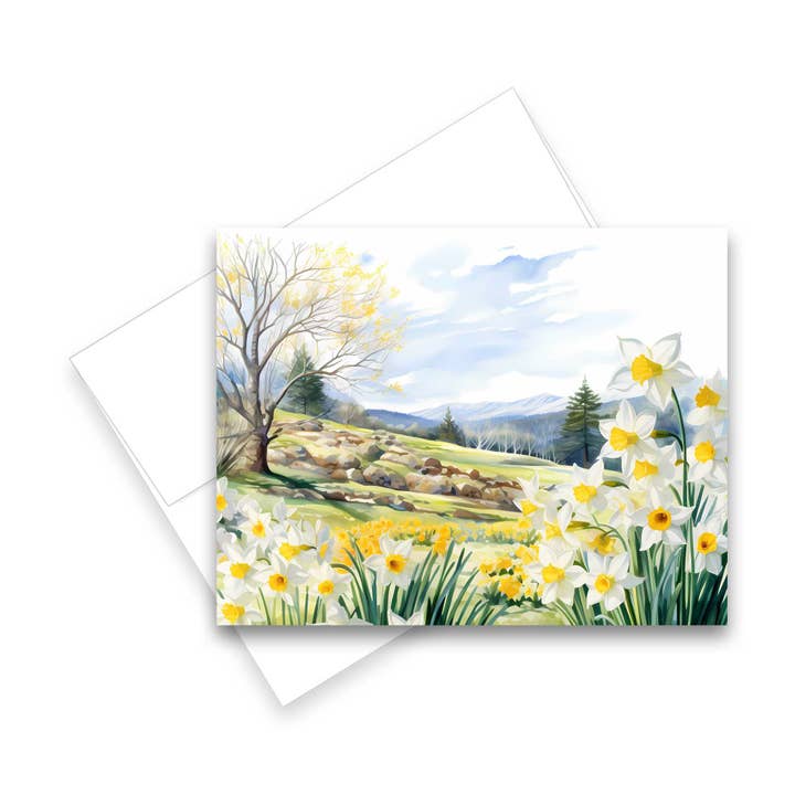 Aria Rae - Wholesale Stationery/Notecard Set - Assorted Watercolor Daffodil Fields Notecards - Set of 62