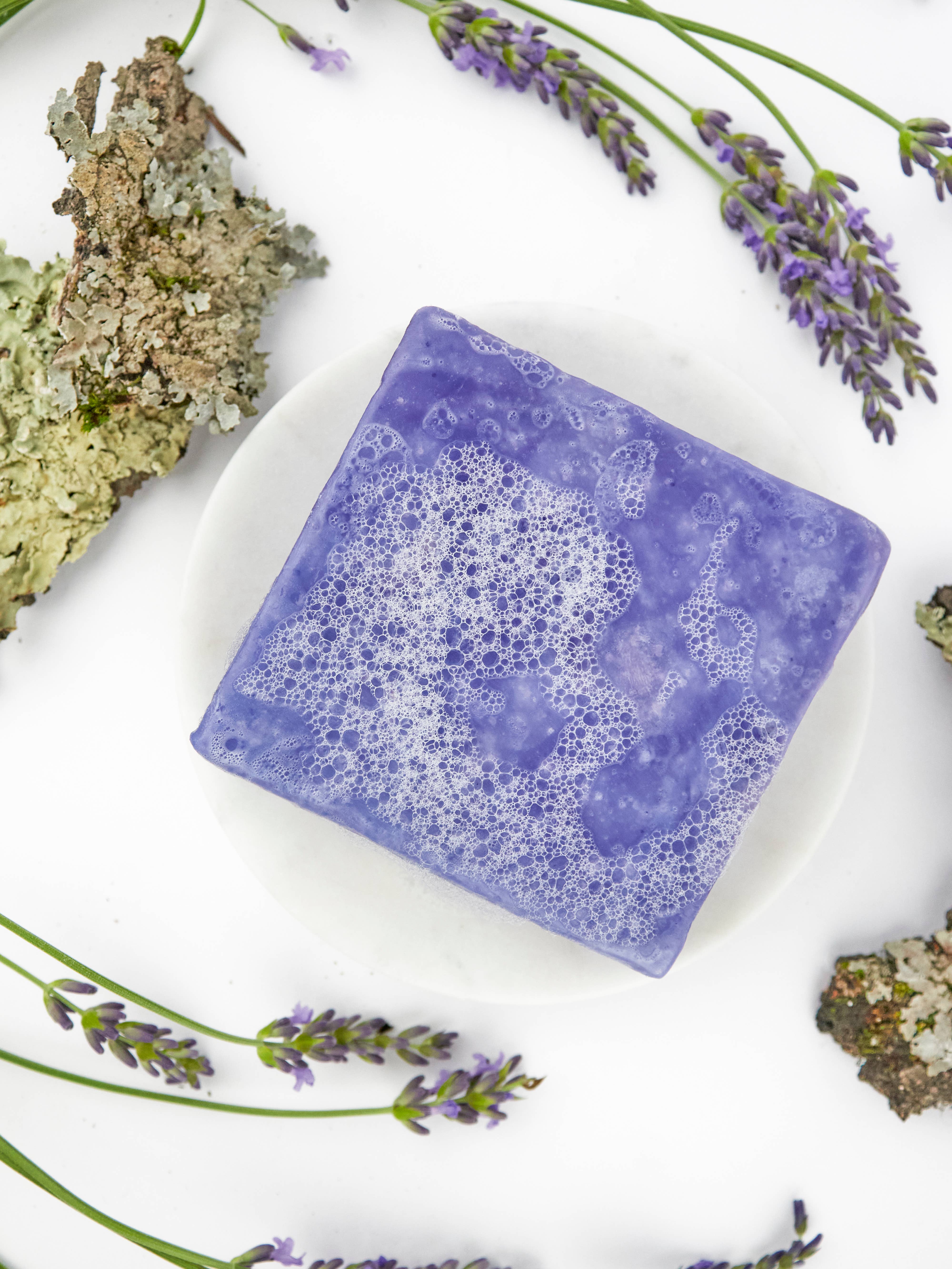 Ash & Rose - Wholesale Bar Soap - Lavender Oak Moss Soap Scrub Bar1