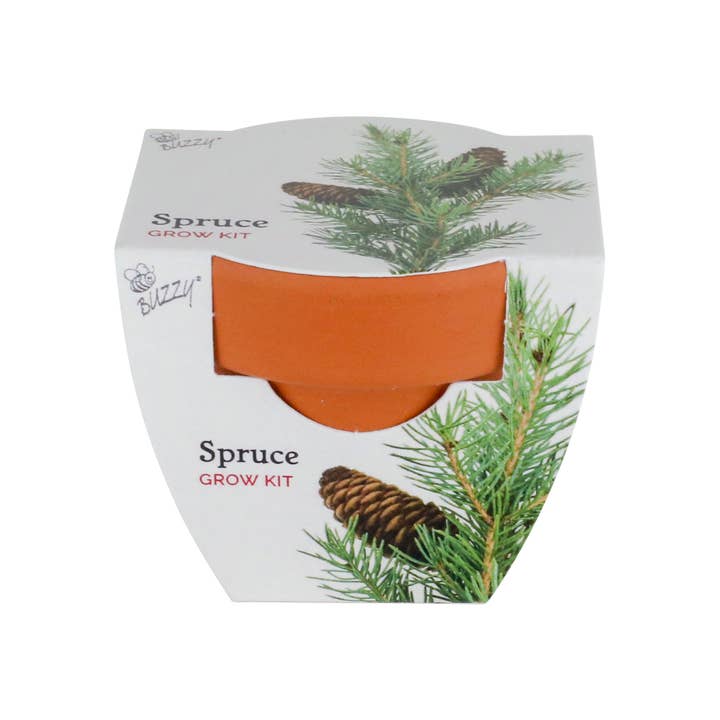 Buzzy, Inc. - Wholesale Plant Seeds - Buzzy Seeds Holiday Mini Grow Pot - Spruce