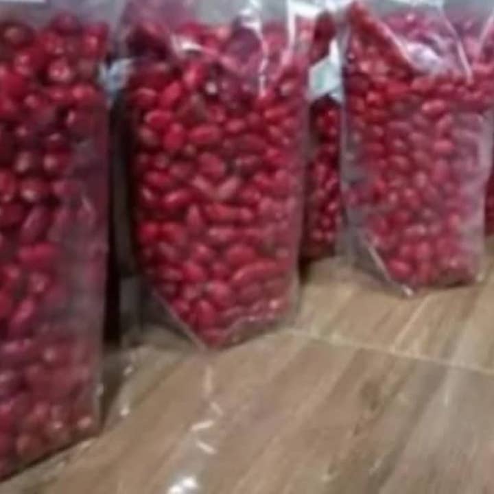 Dried Miracle Fruit (Copy) for wholesale by GBM ROYAL VENTURES