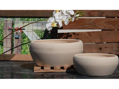 Pacific Home & Garden - Wholesale Planter Box - Bonsai Bowl Planter Ivory Clay Multiple Sizes S32