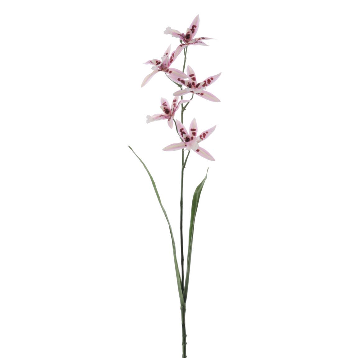 Concari.flores Preservadas - Wholesale Artificial Flowers - ORCHID CALANTHE ARTIFICIAL FLOWER1