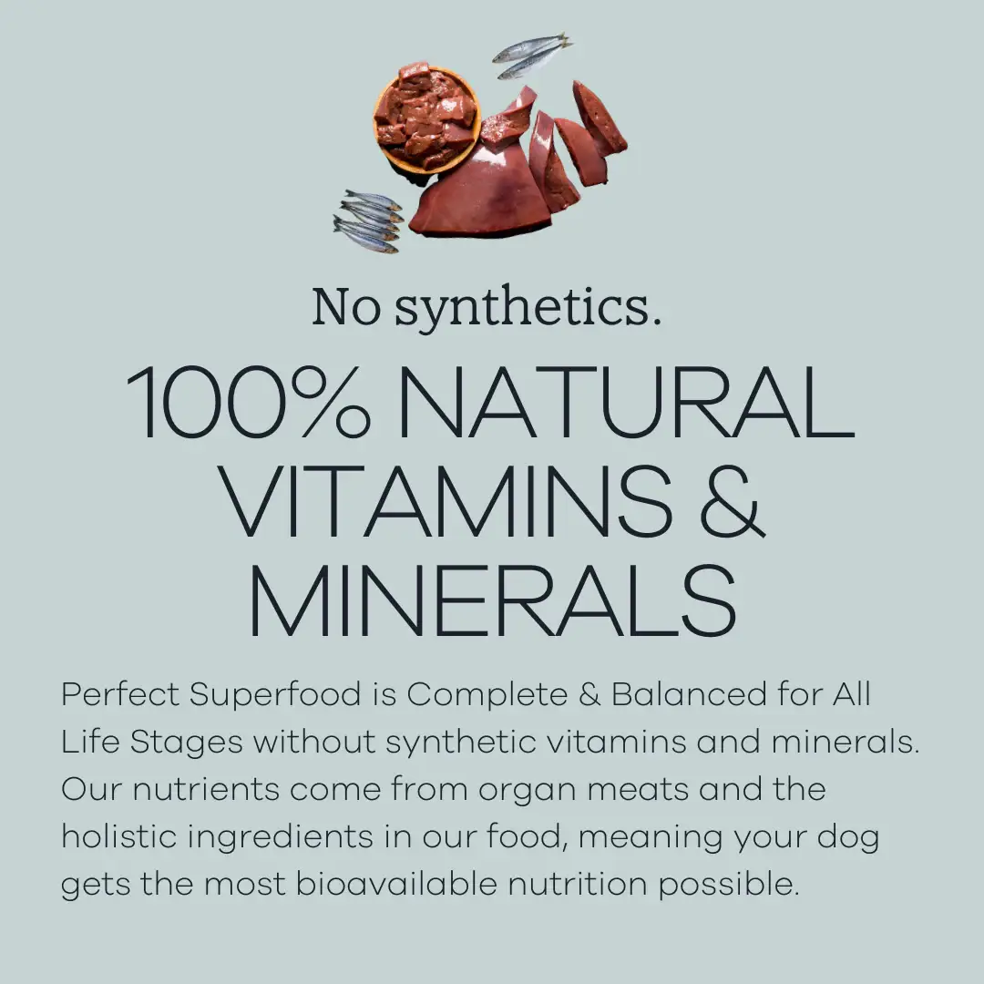 Yumwoof Natural Pet Food - Vente Nourriture – chien - Perfect Superfood nourriture sèche à l’air pour chiens7