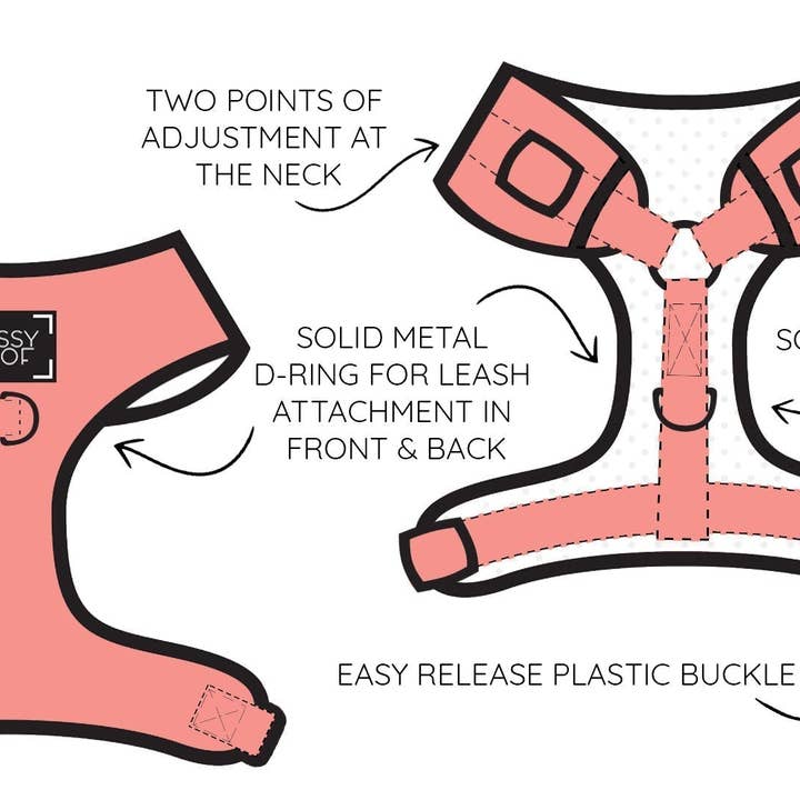 SASSY WOOF - Wholesale Pet Harness - Dog - Dog Two Piece Bundle - Mamas Boy