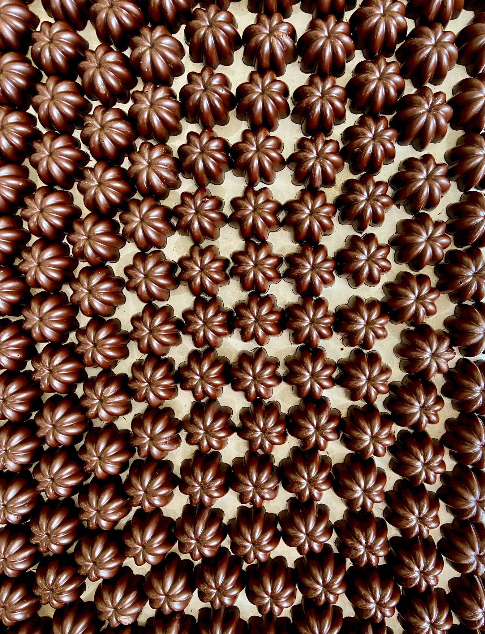 CIOCCOLATO CHIAMBRETTO 1910 - IL CIOCCOLATO DI TORINO - Venta al por mayor Caja de bombones - Bonèt praliné - Chiambrettino® - en caja de regalo2