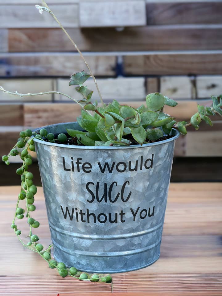 Pot de fleurs Life Would Succ Without You avec seau en acier galvanisé pour la vente par The Savvy Spade