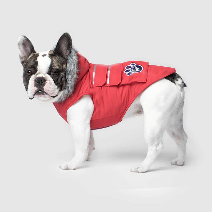 Everest Explorer Jacket- Dog Coat for wholesale by Canada Pooch
