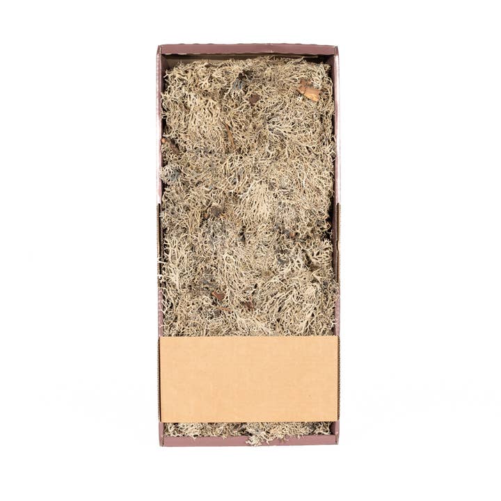 Grey Moss Bulk Natural - 1.5 Lbs for wholesale by Mills Floral Company