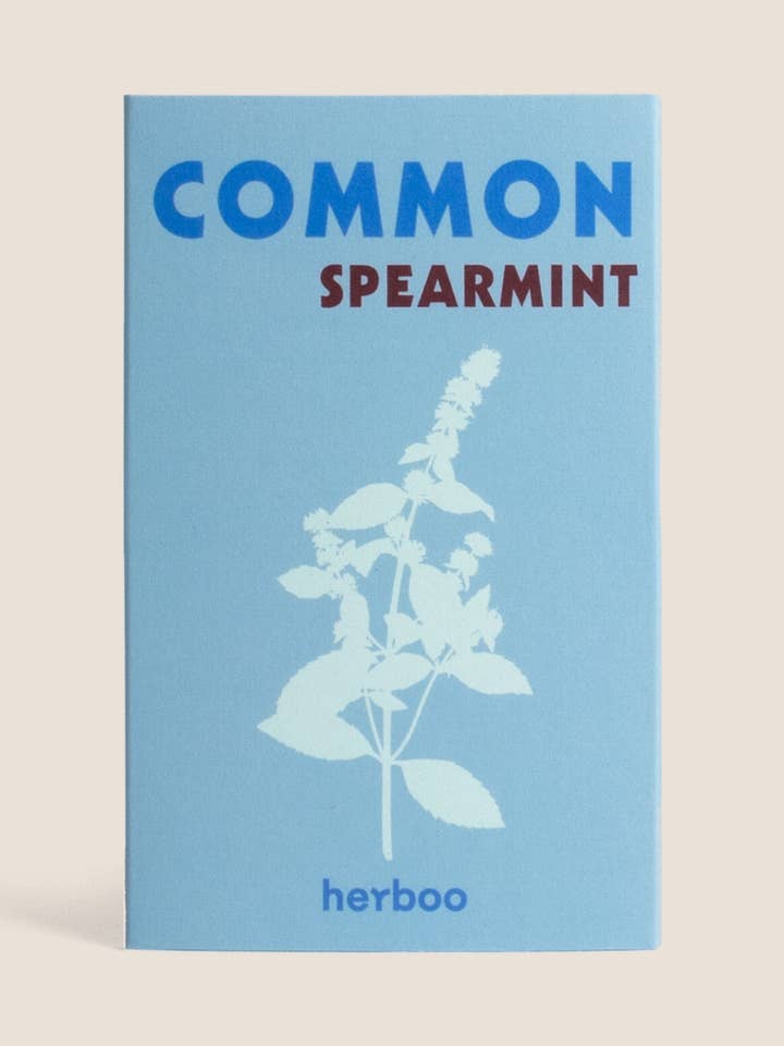 Common Spearmint Seeds for wholesale by Herboo