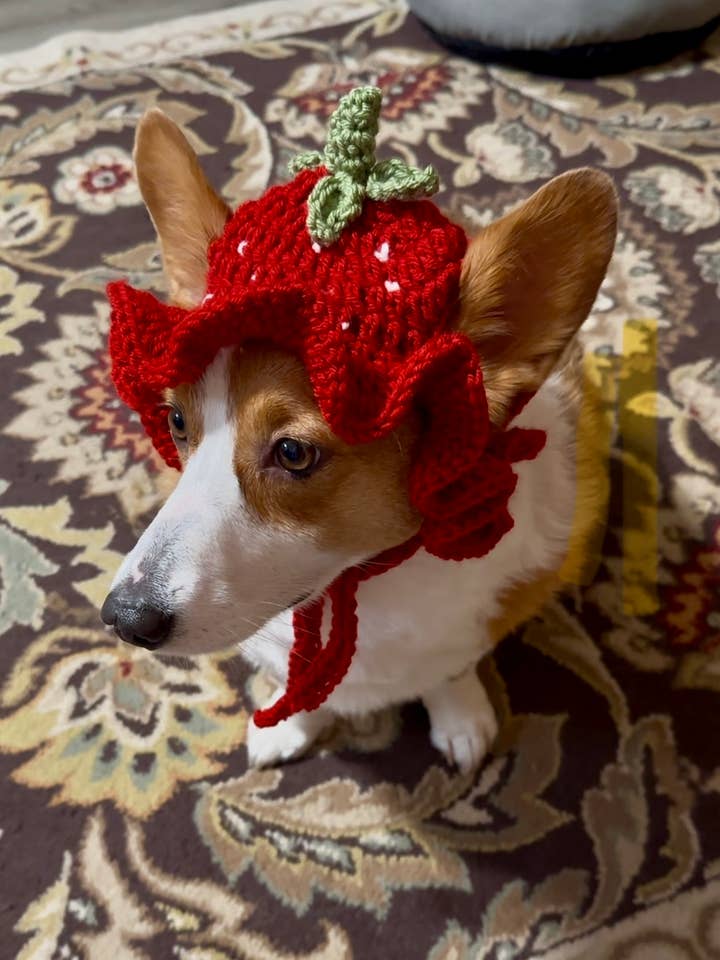 Cappellino per cuccioli con fragole per la vendita all'ingrosso da parte di Cozy Knots & Paws