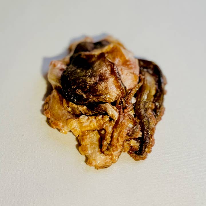 Styx & Stones LLC – Engroshandel Bordpynt – Takidermi af blæksprutte - Kuriositet1