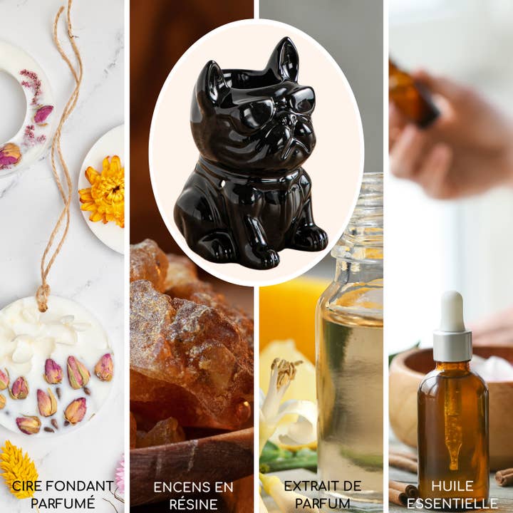Zen'Arôme – Großhandel Öl-Wärmer – Original Boubou der Bulldogge - Keramik-Duftbrenner2