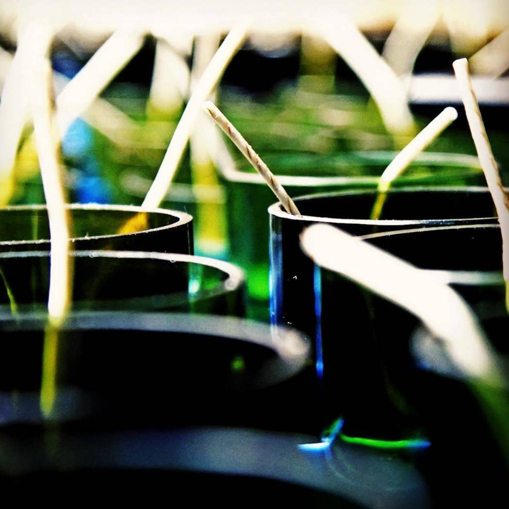 Unwined Candles - Wholesale Jar/Filled Candle - Oak & Amber Signature Series - Wine Bottle Candle4