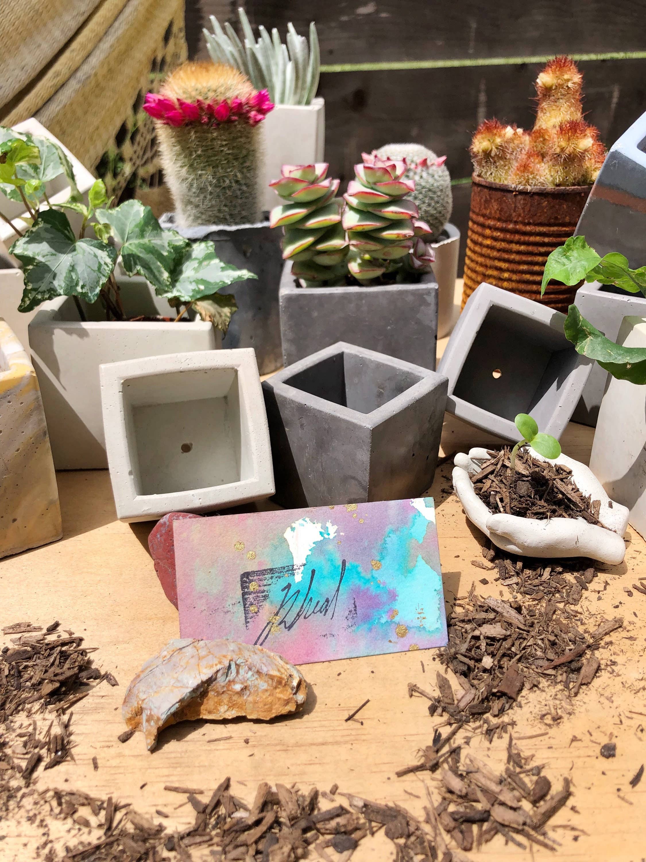 Made By Rheal – wholesale Kruka – Små fyrkantiga betongkruka6