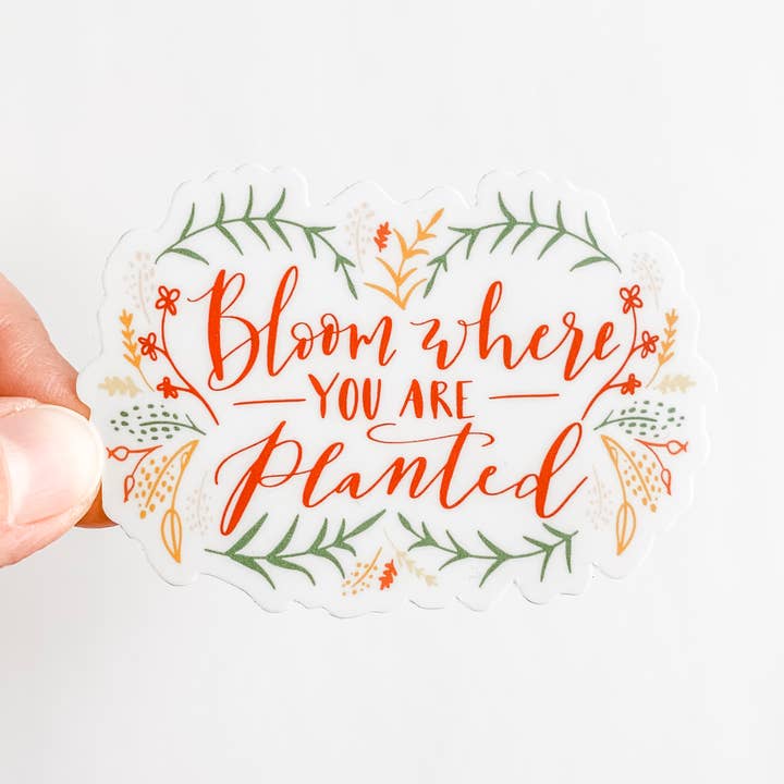 Bloom Where You Are Planted Sticker for wholesale by Wildflower Paper Company