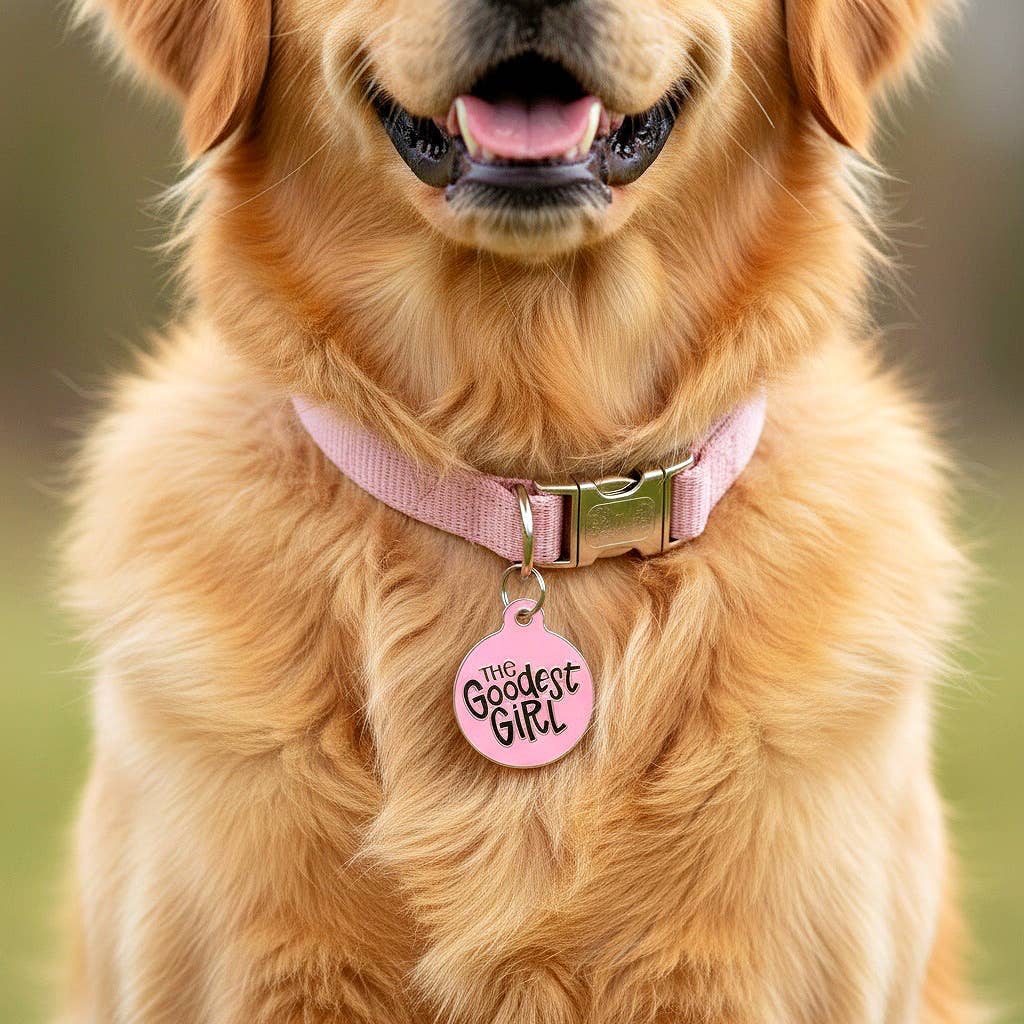 Bad Tags – Großhandel Haustiermarke – Katze/Hund – Personalisierter Hundemarkenanhänger mit scanbarem QR-Code – Goodest Girl7