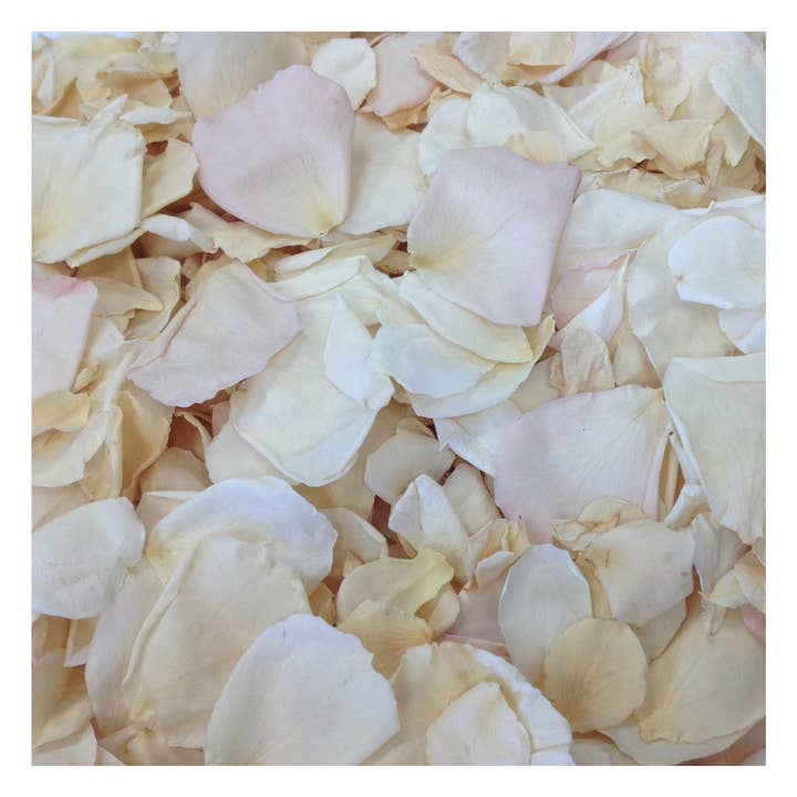 Shabby Chic Rose Petals | Real Freeze-Dried | Ivory, Blush for wholesale by Flyboy Naturals Rose Petals